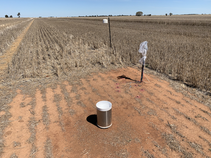 stubble height trial