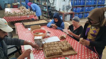 International profiling team tackle chickpea Ascochyta blight