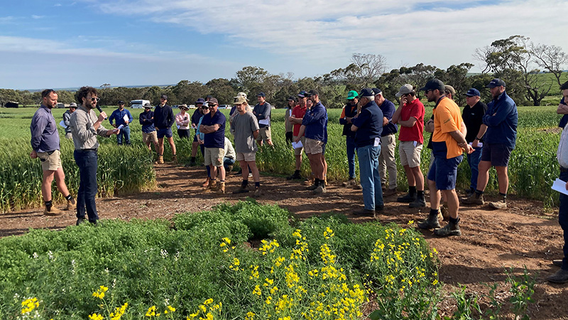 Project lead Dr Matthew Knowling (University of Adelaide) and research agronomist Jake Giles (EPAG Research) discuss the farming systems trial at Edillilie.