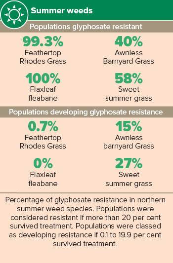 summer weeds infographic