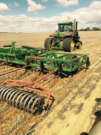 Coil packers typically leave more stubble than heavier rollers. PHOTO Bindi Isbister, WA DPIRD