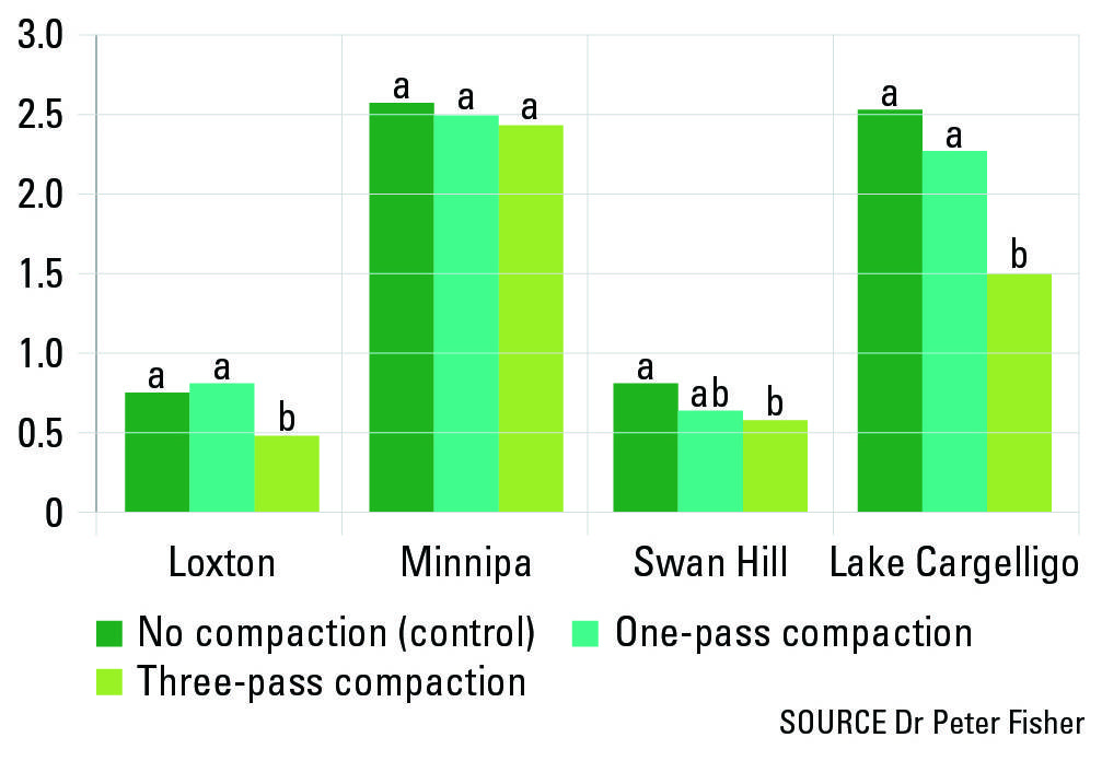 FIGURE 2 Three passes of trafficking prior to sowing in 2015 generally reduced wheat yield in the first year (treatments with different letters are significantly different within each site at 5% LSD, n = 4).