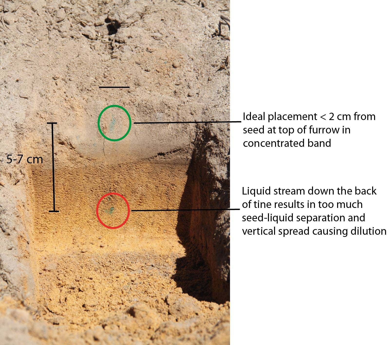 As sowing of winter crops gets underway for 2020, some research is indicating that placing a soil wetter and UAN mix within 20 millimetres of the seed can give better results on some soil types. PHOTO SACOA