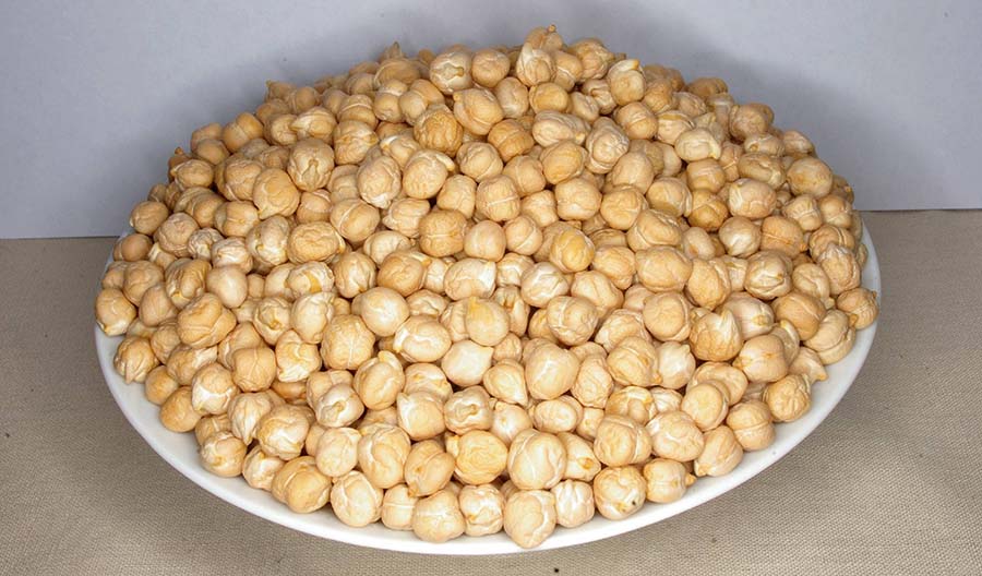Indian scientists have developed a GM chickpea variety with high drought tolerance and high iron and zinc content in the seeds. PHOTO Pulse Australia