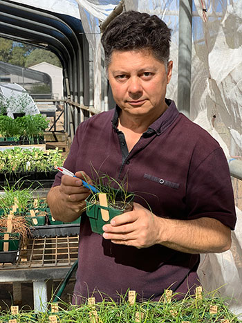 Photo of Dr Peter Boutsalis holding some plants in a greenhouse