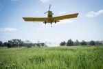 New resources a guide to fungicide management