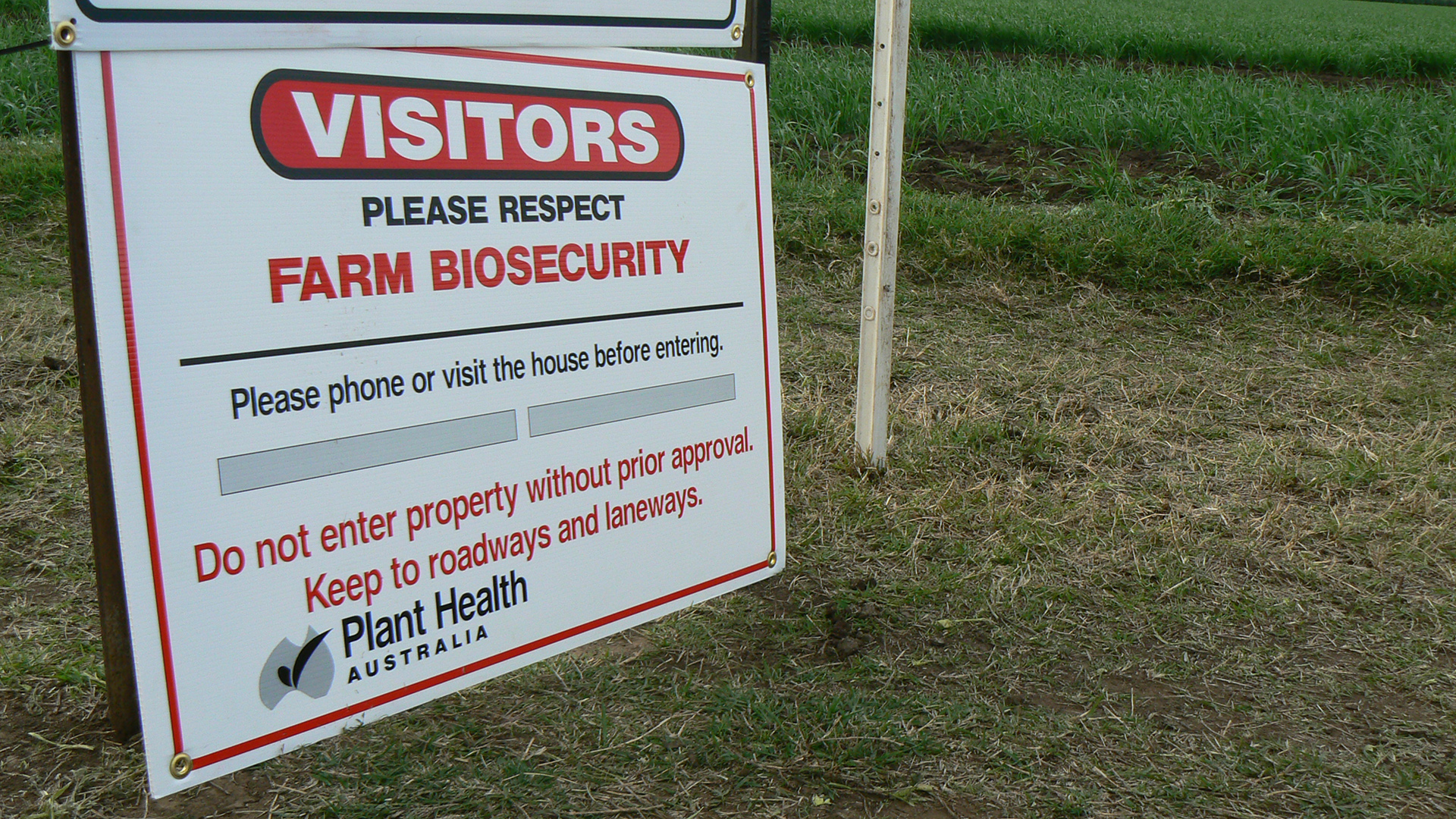 Biosecurity is about awareness and action | Groundcover