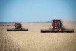 NVT harvest reports capture latest variety information  for WA growers