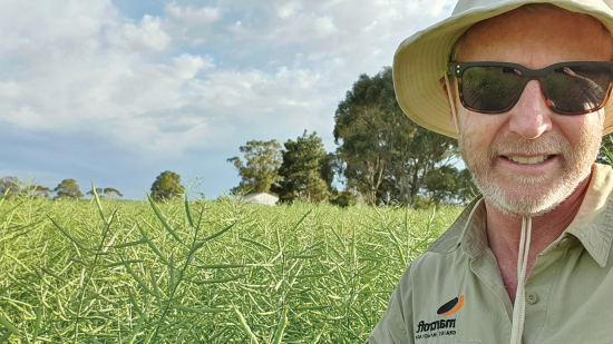 Wet springs require proactive Sclerotinia management 