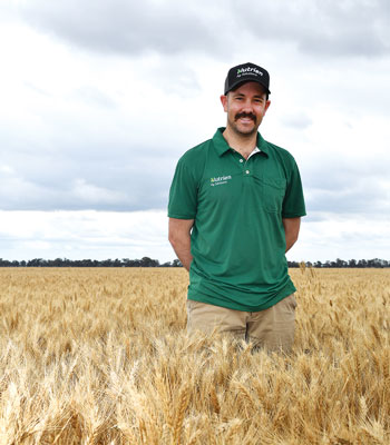 man in a green shirt standing in wheat crop