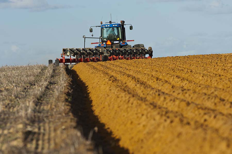 Mouldboard ploughing. PHOTO Evan Collis