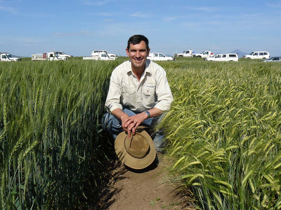 The Northern Grower Alliance has extended its research into specific areas of soil-borne disease management, chief executive Richard Daniel says. PHOTO GRDC 