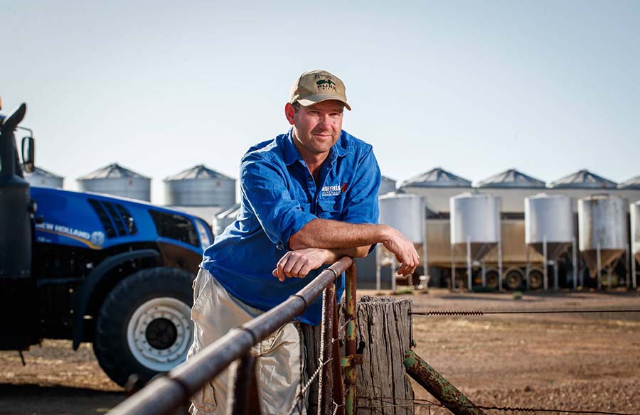 Grant and his family have grown canola and broad beans, chickpeas and linseed, and wheat and lentils as companion crops in the past three years.