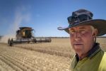 Oats to be supercharged as GRDC ups the ante
