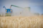 Above-average harvest a chance to reset business goals