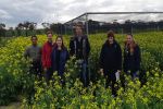 Risks and rewards of very early sown canola
