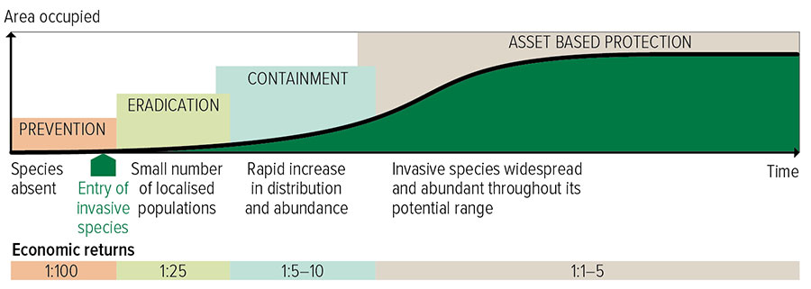 Graphic showing generalised pest invasion curve