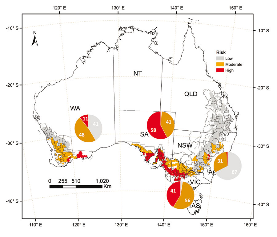 Map showing risk footprint for cool-shock temperatures equivalent to official cool-shock LMA testing protocols in the field, during the grain fill window.