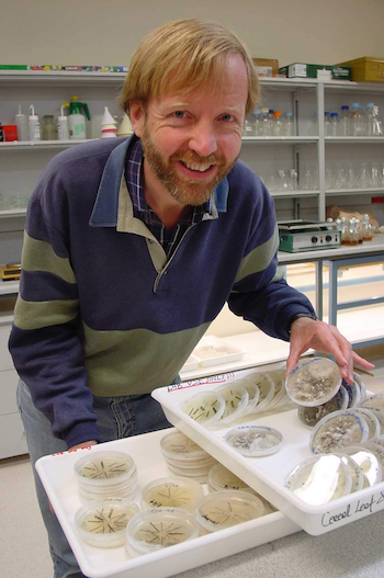 Hugh Wallwork examines a Petri dish in the laboratory.