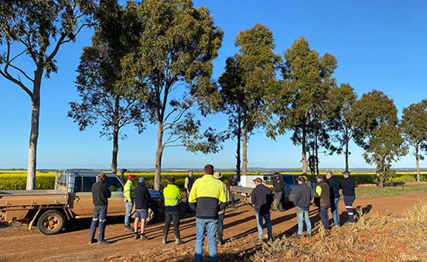 Growers at a GRDC mouse management field walk with Steve Henry
