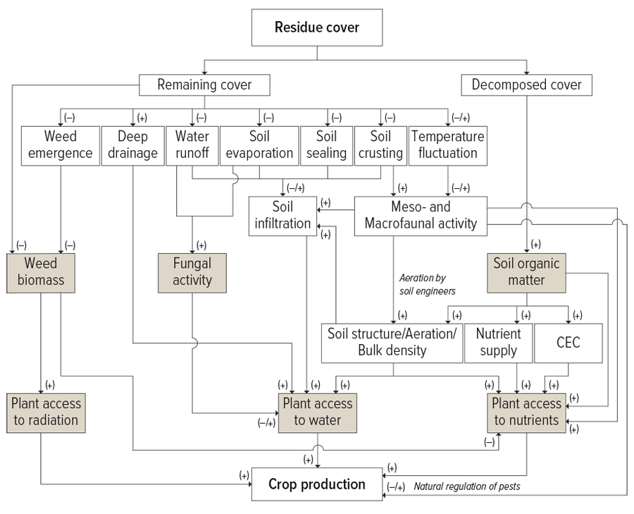 stubble retention