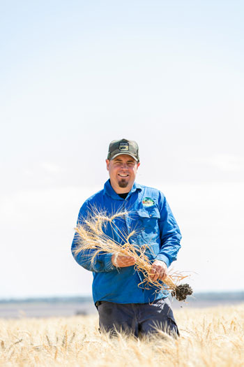 Brad Jackson standing in a cereal crop holding an example plant and smiling at the camera.. 