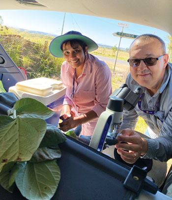 a woman and a man out in the field studying plants