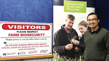 New grains biosecurity officer for Queensland