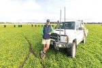 Healthy-looking crops point to a promising harvest