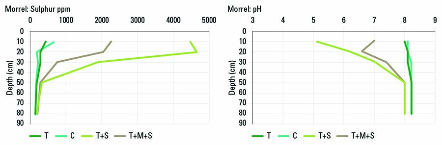 FIGURE 1 Changes in soil (a) sulphur and (b) pH as a result of the control (C), trenching (T), elemental sulphur (S) and composted chicken litter (M) on a Morrel soil at Nangeenan. SOURCE DPIRD