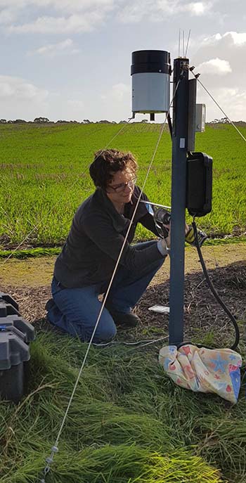 Helen Brodie immersed in collaborative research, led by CSIRO in partnership with SARDI, to help control introduced conical snails. PHOTO SARDI