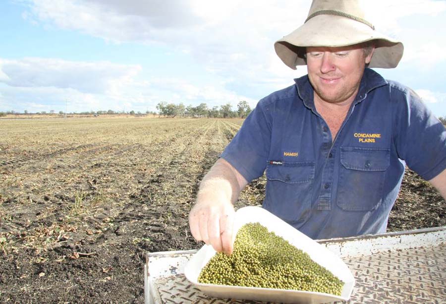 Darling Downs, Queensland, mungbean grower Hamish Bligh with a sample of his produce.