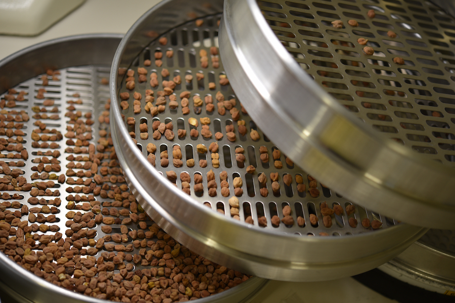 Sieves used to determine seed size distribution in desi chickpea samples. 