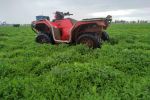 Crop-pasture flexibility lifts system agility 