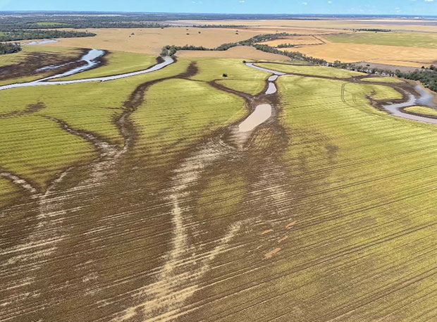 Moree Aerial flood