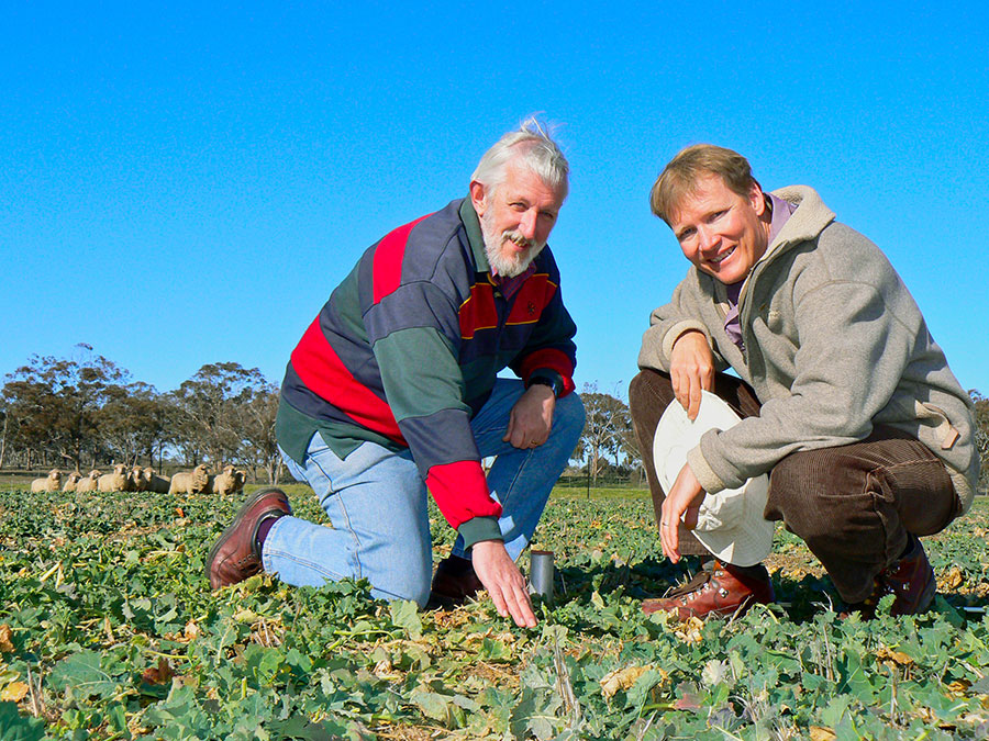 Back in 2006, Dr John Kirkegaard (right), with fellow CSIRO researcher the late Dr Hugh Dove, were exploring the dry matter production of dual-purpose canola at CSIRO’s Ginninderra Experimental Research Station, Australian Capital Territory. Photo: Nicole Baxter