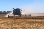 Trials to fine-tune canola-on-cereal stubble strategy