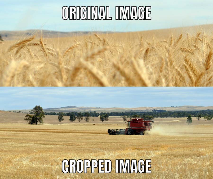 Grain image 1 meme