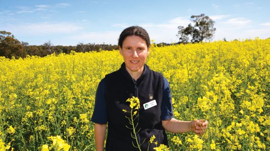 Extreme weather challenges RLEM management