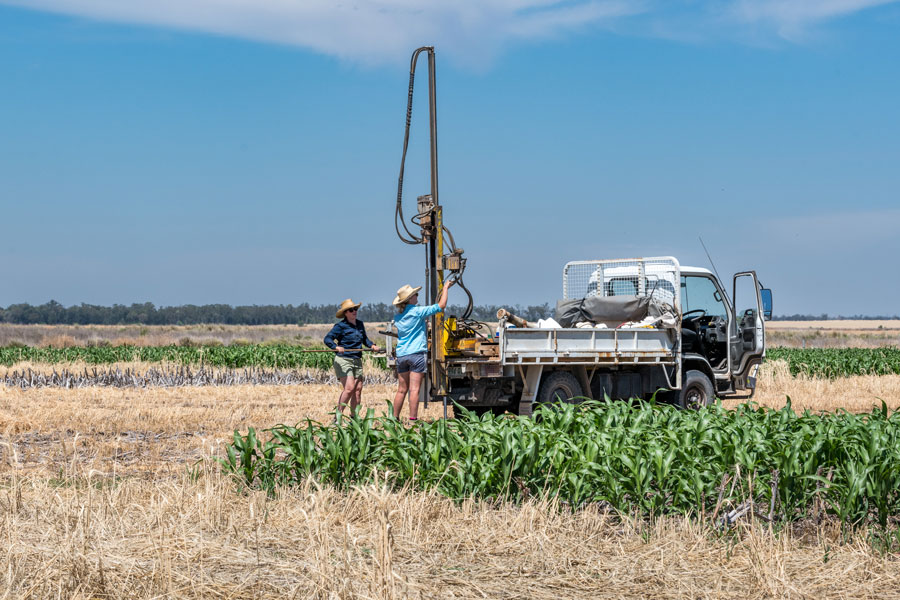 On site at Billa Billa as part of the Northern Farming Systems project.