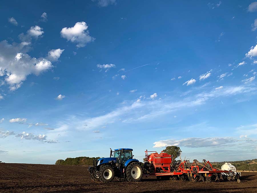 Stuart likes to start planting the dual-purpose wheat by 10 March. PHOTO Stuart Tait