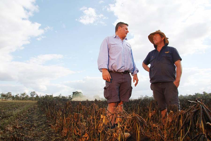 Hamish Bligh, right, with fellow mungbean grower Damon Stirling, from the Woods Group. PHOTO Liz Wells