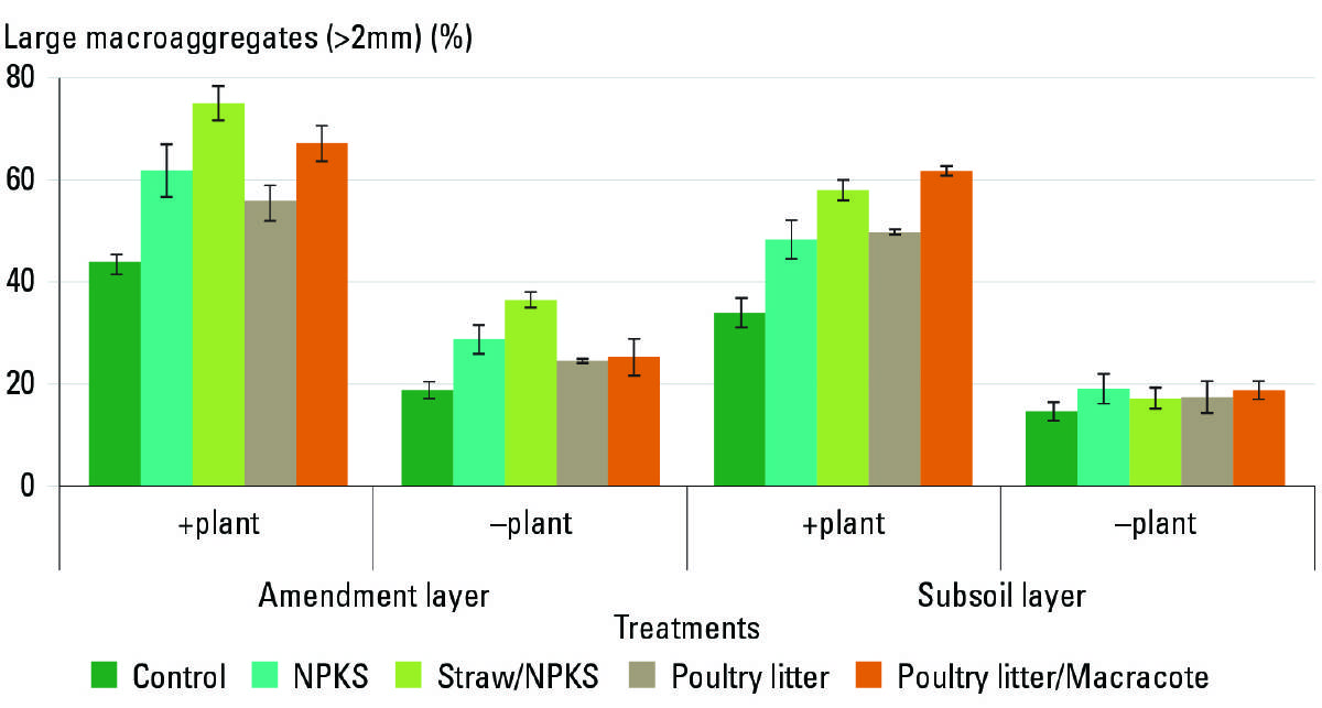 Figure 2: Effect of subsoil amendments and the presence or absence of wheat plants ( plants) on soil aggregation collected at wheat maturity from the amendment and subsoil layers. 