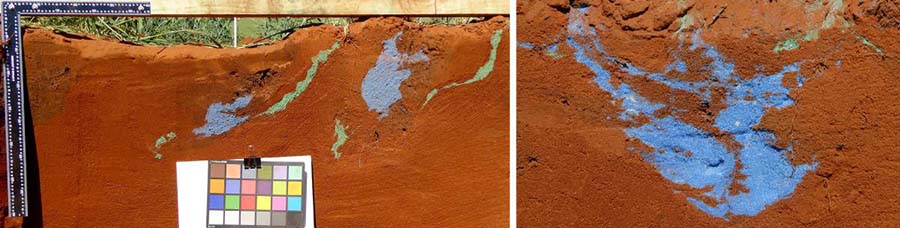 Soil profile images showing redistribution of blue sand buried at zero to 10cm and green sand at 20 to 30cm as a result of tillage by a mouldboard plough (left) and a spade on a rotary spader (right) over the same soil depth.