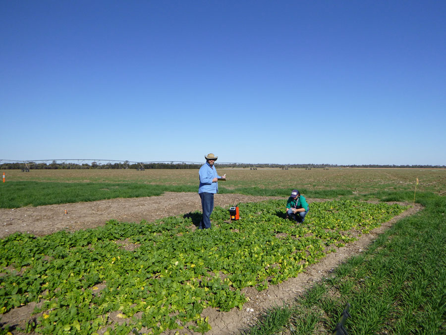 Researchers in a trial site