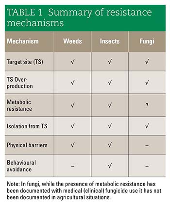 Summary of resistance mechanisms