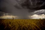 New tool aligns climate models with on-farm decision making