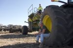 Hay enterprise provides risk buffer for crops
