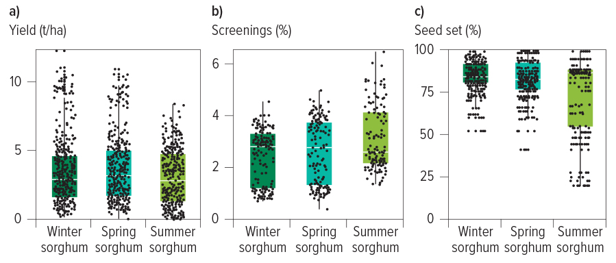 Observations of six commercial sorghum hybrids