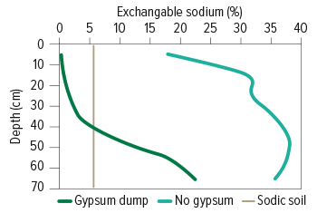 gypsum graphic